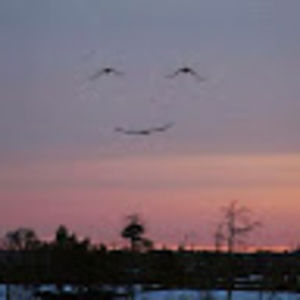 Meet your Posher, Joaquina